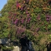 sanur_v_0046_bal4187.jpg